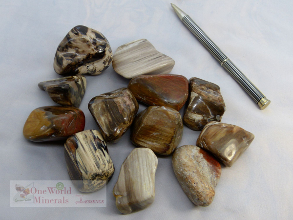 versteinertes Holz Australien XL Trommelsteine, 500g Pack